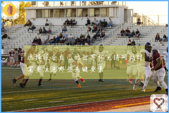 选择适合自己的世界杯竞猜网站时需要注意哪些关键要素