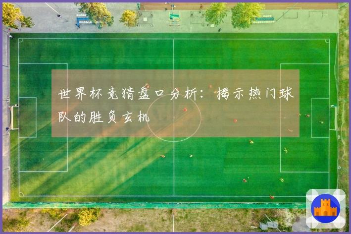 世界杯竞猜盘口分析:揭示热门球队的胜负玄机