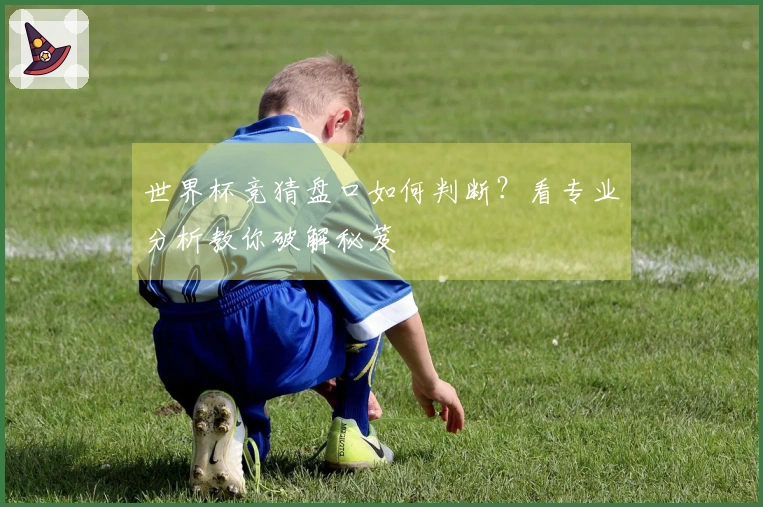 世界杯竞猜盘口如何判断?看专业分析教你破解秘笈